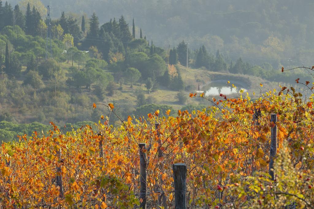 Agriturismo La Presura Strada in Chianti Exterior photo