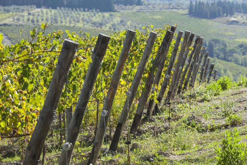 Agriturismo La Presura Strada in Chianti Exterior photo